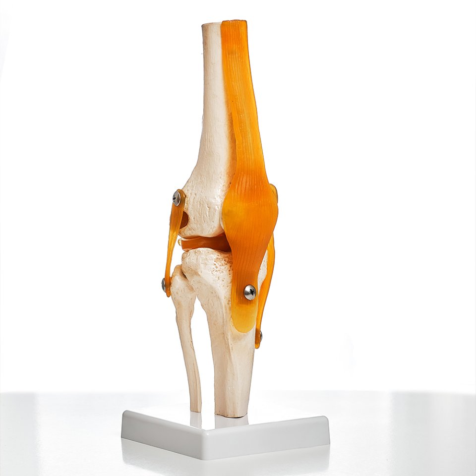 Who is a Suitable Candidate?