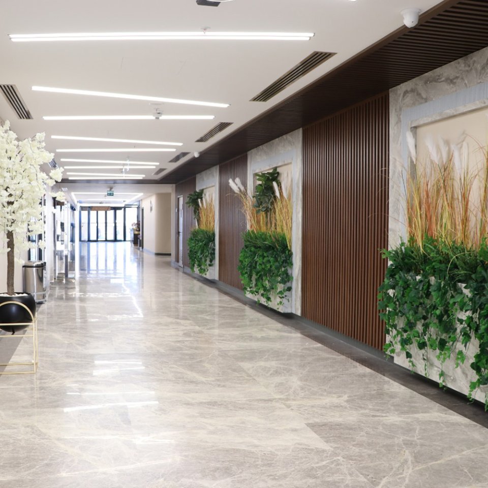 Why Choose Büyük Anadolu Hospital for Appendix Surgery?