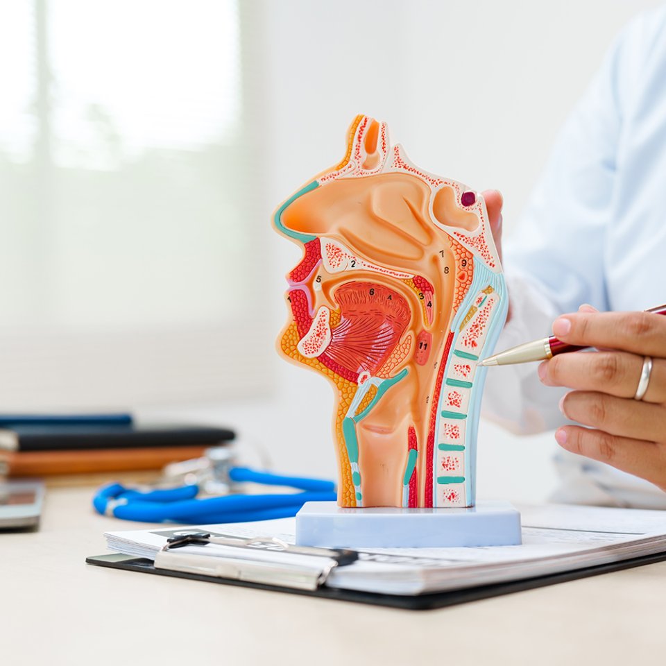 Step-by-Step Procedure Process