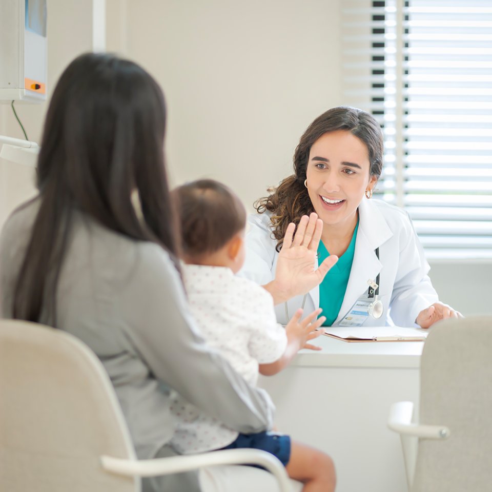 Step-by-Step Procedure Process