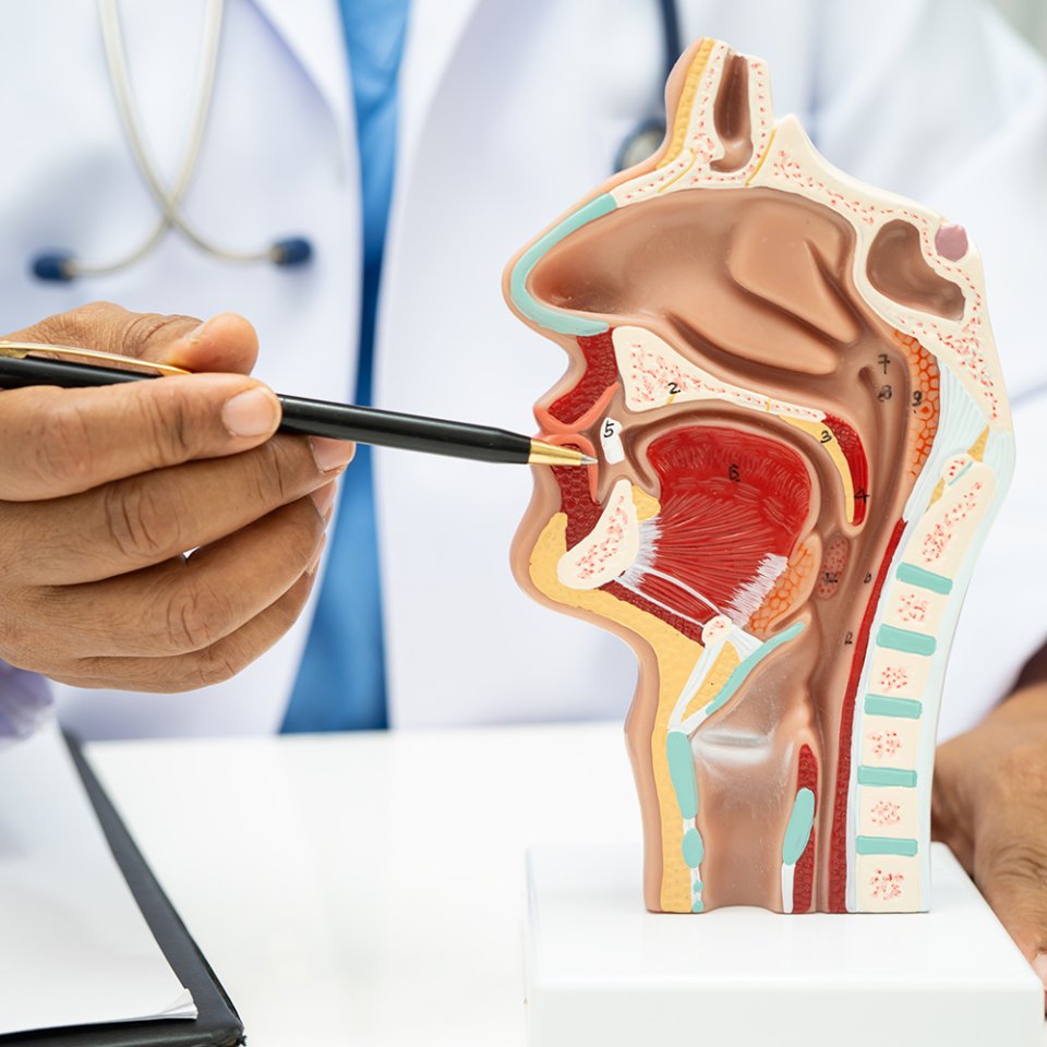 Step-by-Step Procedure Process