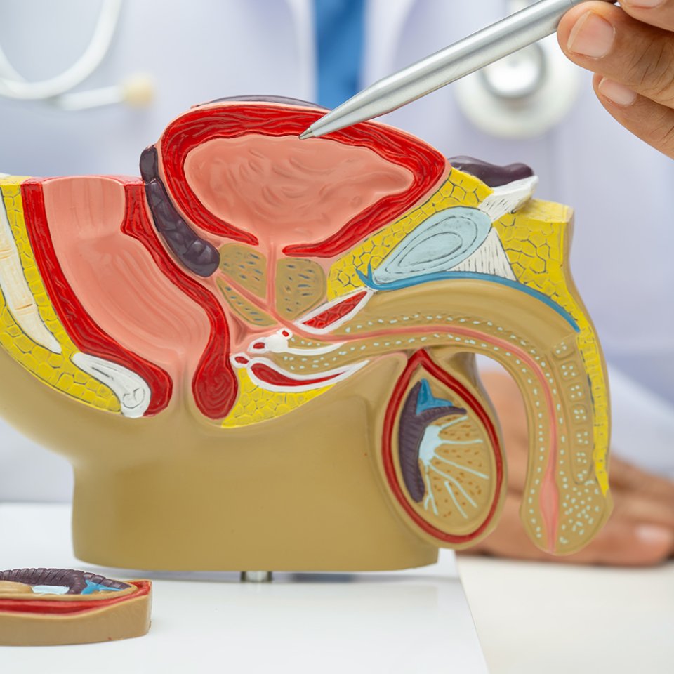 How is URS Surgery Performed?